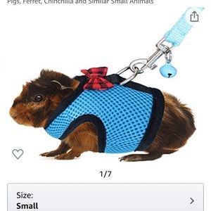 Meet your Posher, Dana